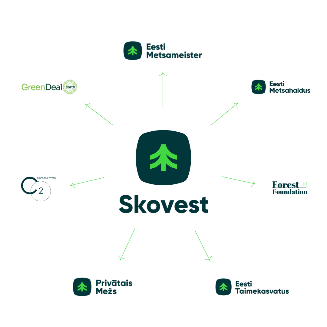 Skovest Networki struktuur